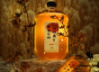 Vũ Tuấn Nam - K42